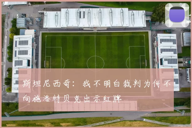 斯坦尼西奇：我不明白裁判为何不向施洛特贝克出示红牌